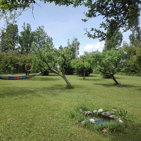 Bed and Breakfast La Vie En Rose Buia Exterior foto